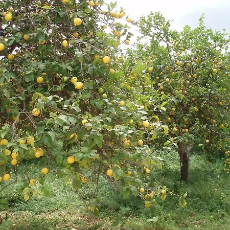 Il Giardino Di Sicilia Case Monterosso